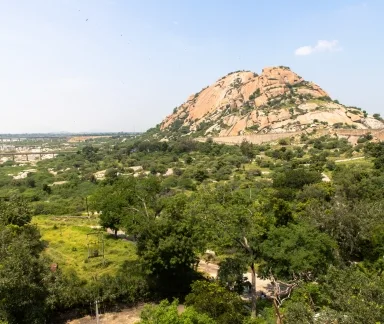 Jawai Leopard Safari Tour