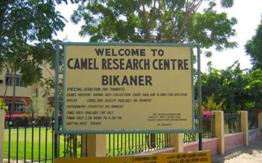 Camel Research Centre