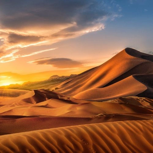 Sam Sand Dunes Jaisalmer