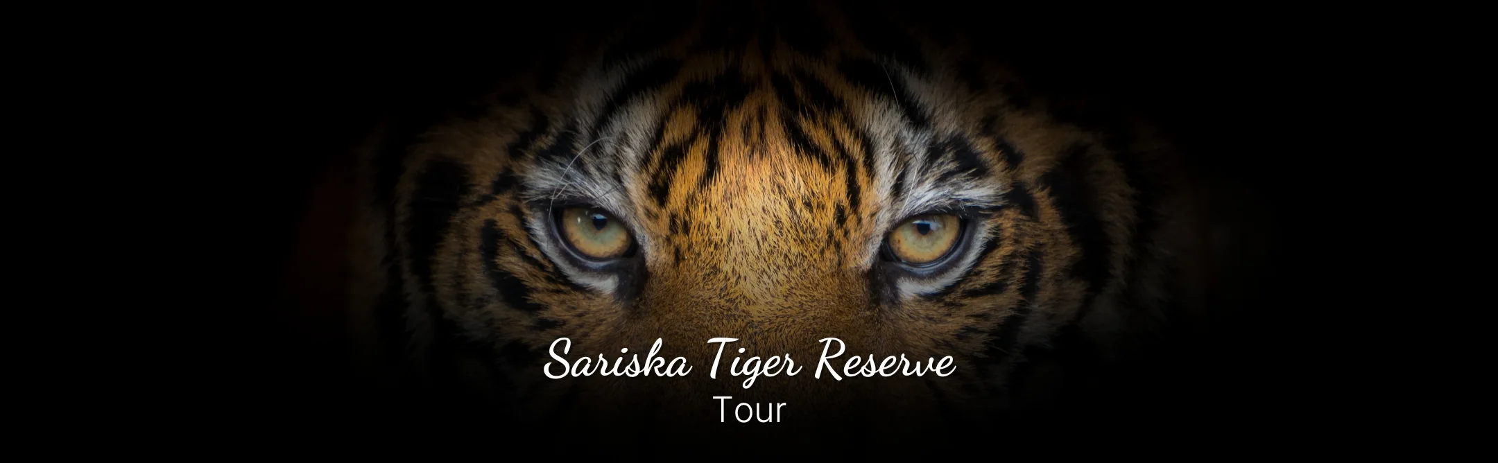 Sariska Tiger Safari Tour